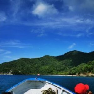 NADO CON DELFINES EN ACUARIO SANTA MARTA