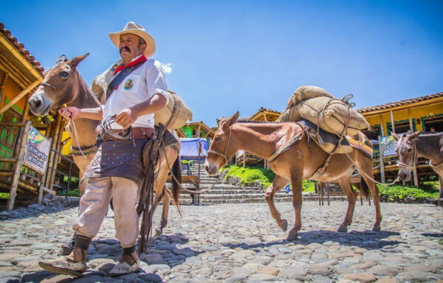 EJE CAFETERO: Hotel, Parque Los Arrieros, Parque del Cafe y Panaca