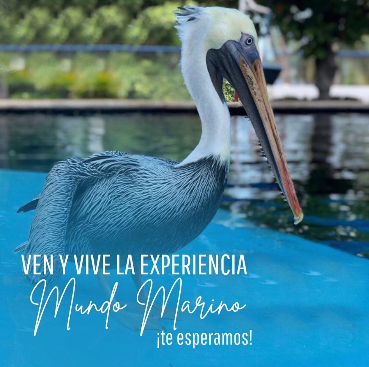 Mundo Marino Acuario Santa Marta